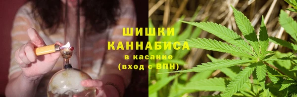 дживик Арсеньев