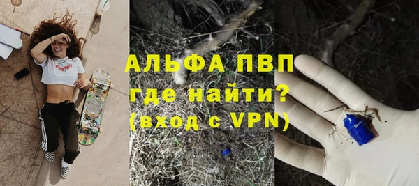 дживик Арсеньев